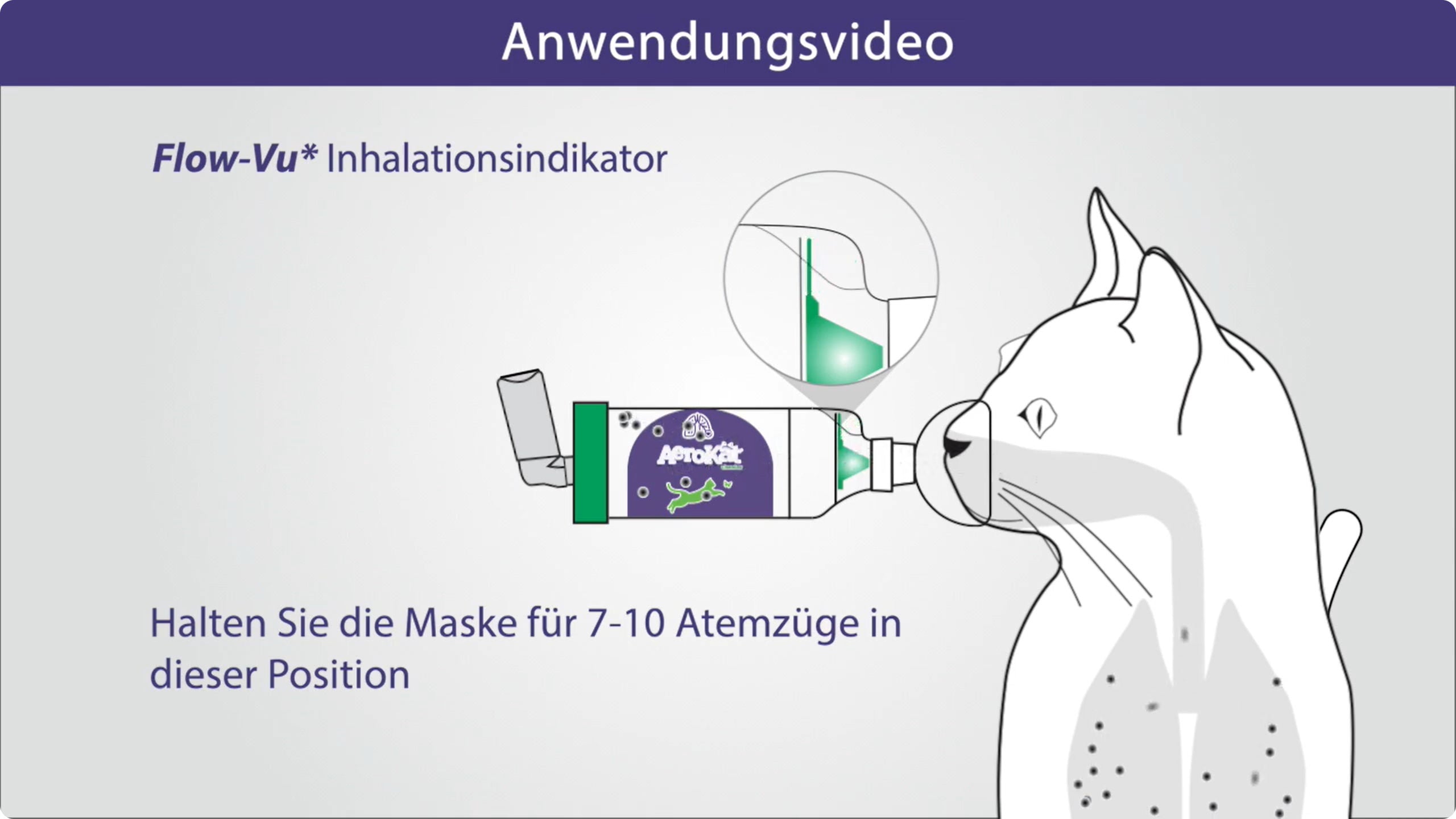 Video laden: Anwendungsvideo - AeroKat für Katzen (Deutsch)