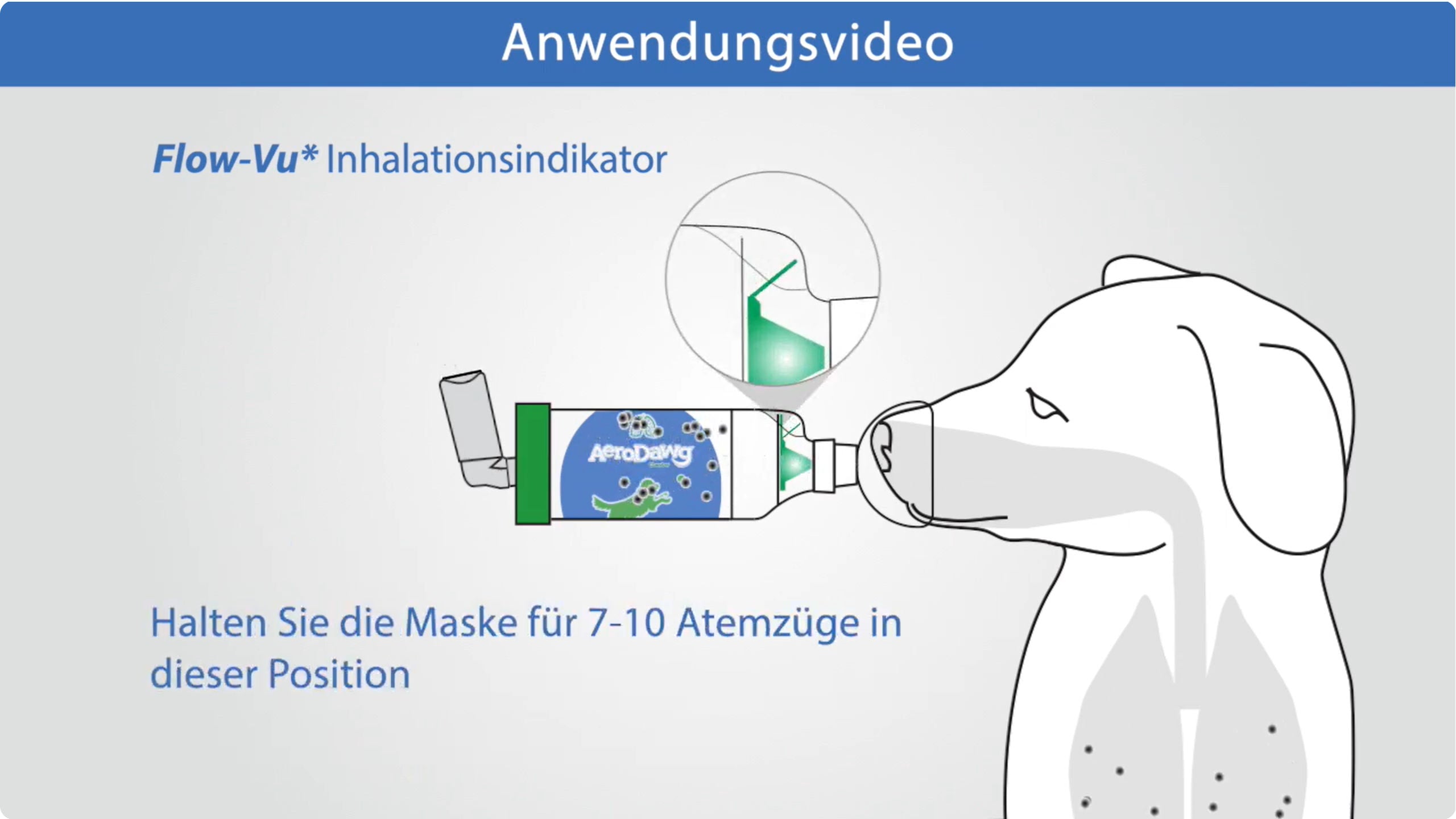 Video laden: Anwendungsvideo - AeroDawg für Hunde GROSS (Deutsch)