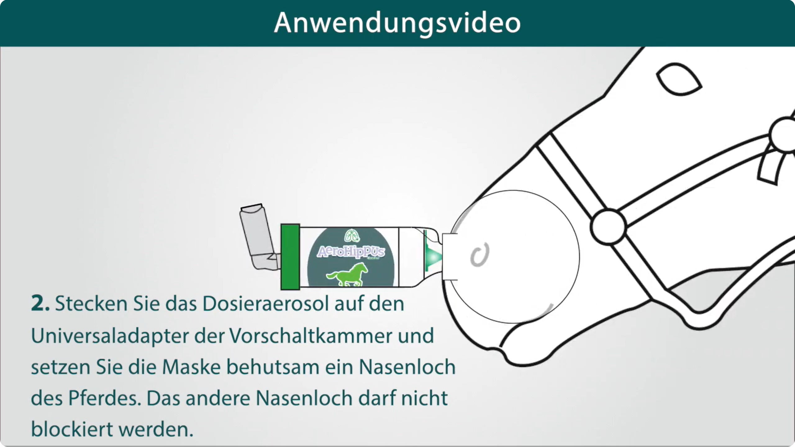 Video laden: Anwendungsvideo - AeroHippus für Pferde (Deutsch)